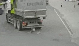 汕头公交爆料事件视频,揭露公交司机与乘客冲突真相