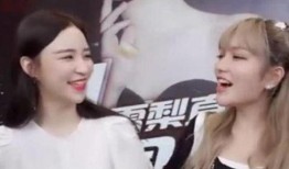 傻大喜前女友爆料视频在线观看,揭秘背后惊人真相