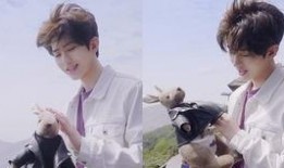 蔡徐坤爆料语音视频大全,揭秘偶像背后的真实故事