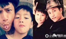 宁静爆料儿子视频大全集,揭秘星二代成长瞬间